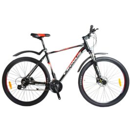 29_warrior_right_side_crn-18-29-4_