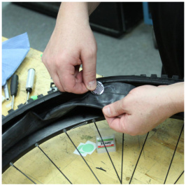 awuhcyi6418h8hujm1v5arxt9ohnxym1[1]