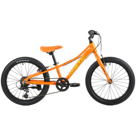 kinetic-coyote-20-2020 (1)