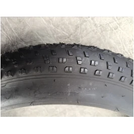 photo_2024-10-25_12-42-19