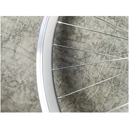 photo_2024-11-07_15-33-38