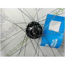 photo_2024-10-25_12-50-09 (3)