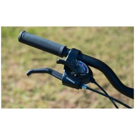 photo_2022-02-15_10-09-16 (3)