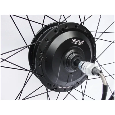фото - МОТОР РЕДУКТОРНЫЙ MAXUS FX-15R 48V 350W ДЛЯ ЗАДНЕГО КОЛЕСА