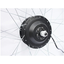 gear-motor-for-rear-wheel-maxus-fx-15r-48v-350w[1]