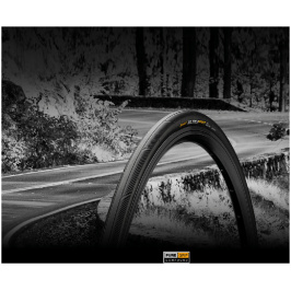 07462189ff81d48cae3b4b2fea525687