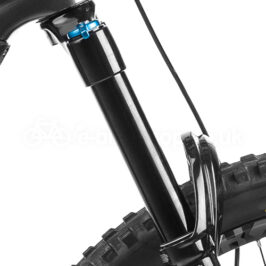 Orbea-Wild-FS-M20-2021-Fox-38-Float-Performance-160mm-Travel-Forks