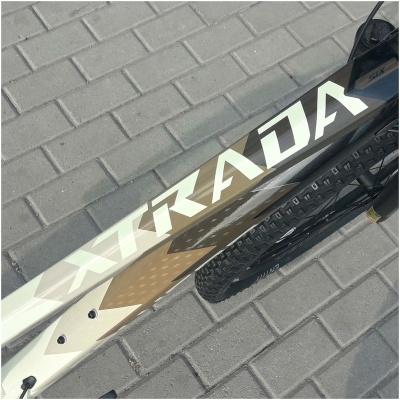 фото - Велосипед 29 POLYGON XTRADA 6