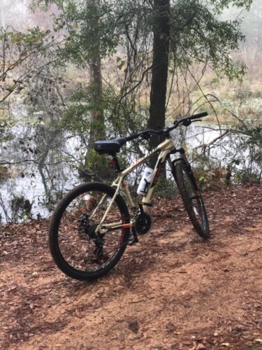 Велосипед POLYGON CASCADE 3 27.5 photo review