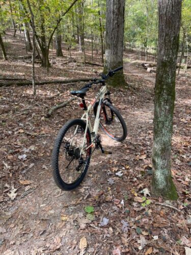 Велосипед POLYGON CASCADE 3 27.5 photo review