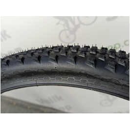 photo_2024-10-25_12-13-20