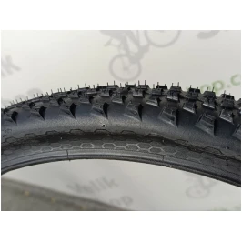 photo_2024-10-25_12-13-20