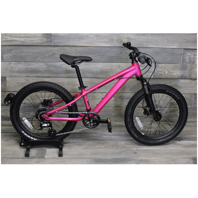 фото - Велосипед 20 Liv STP FS Virtual 2024