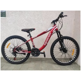 photo_2021-12-13_11-12-24