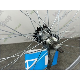 photo_2024-10-25_11-56-27