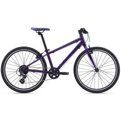 Велосипед Giant ARX 24