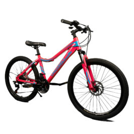 3100264468_w640_h640_velosiped-unicorn-[3]