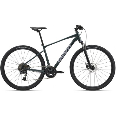 фото - Велосипед Giant 28 Roam 2 Disc