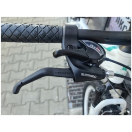 photo_2022-04-07_17-59-42 (4)