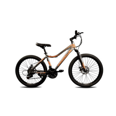 фото - Велосипед Unicorn 24 Smart Rider