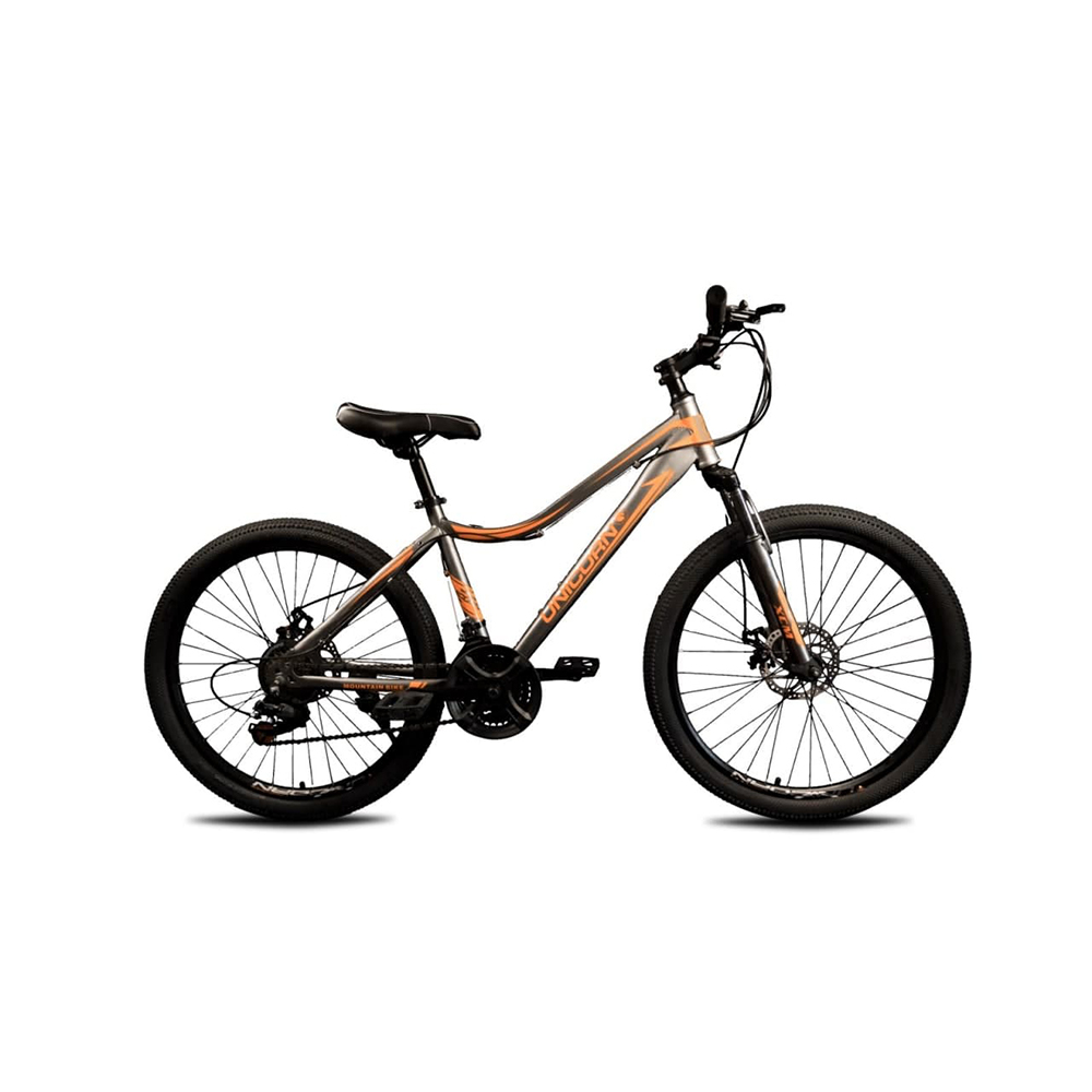 фото - Велосипед Unicorn 24 Smart Rider