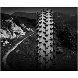 8aa58c794aa57b0ccdc561d2dd314415