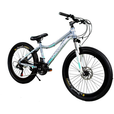 фото - Велосипед Unicorn Sliding 24″