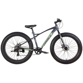 OPS-FR-26-499-velosiped-AL-26-Formula-PALADIN-DD-rama-17-sero-salatnyiy-m-2021-9822-1600x1200[1]