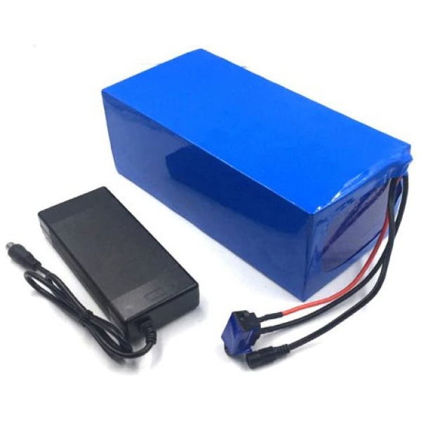 battery-48v-20ah-charger[1]