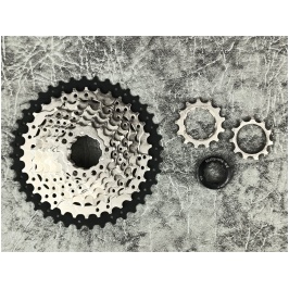 photo_2024-11-08_16-55-28-min