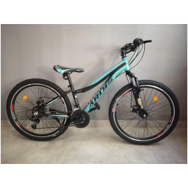 2911585869_w640_h640_velosiped-ardis-cleo[1]