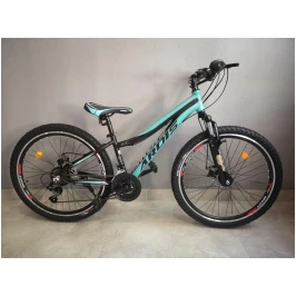 2911585869_w640_h640_velosiped-ardis-cleo[1]