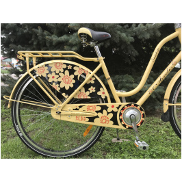 3152188024_w640_h640_velosiped-gorodskoj-ardis[1]