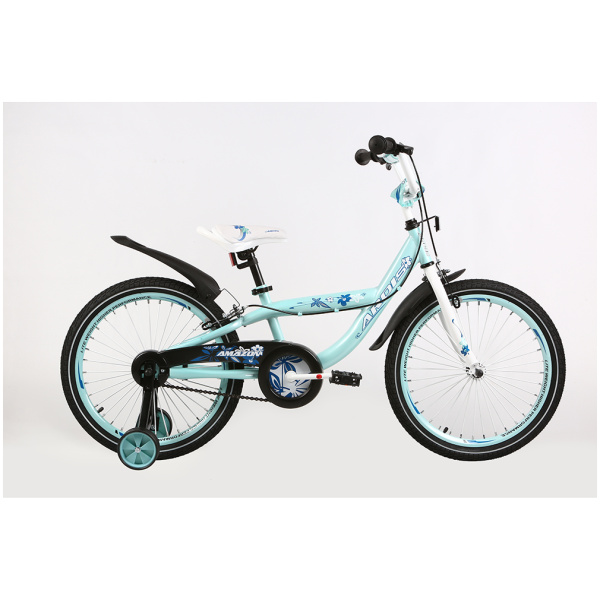 prices-foto-20-AMAZON-BMX[1]
