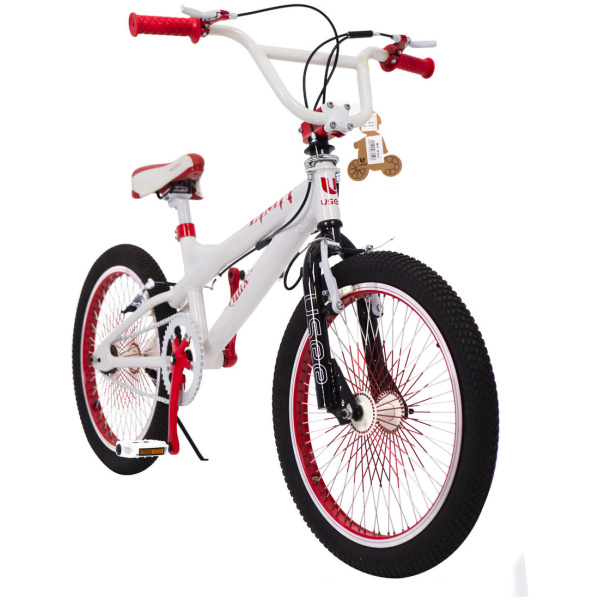 2131977877_velosiped-dlya-tryukovbmx-20.jpg.pagespeed.ce.FZPE3-7L_O[1]