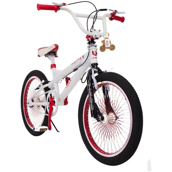 2131977877_velosiped-dlya-tryukovbmx-20.jpg.pagespeed.ce.FZPE3-7L_O[1]