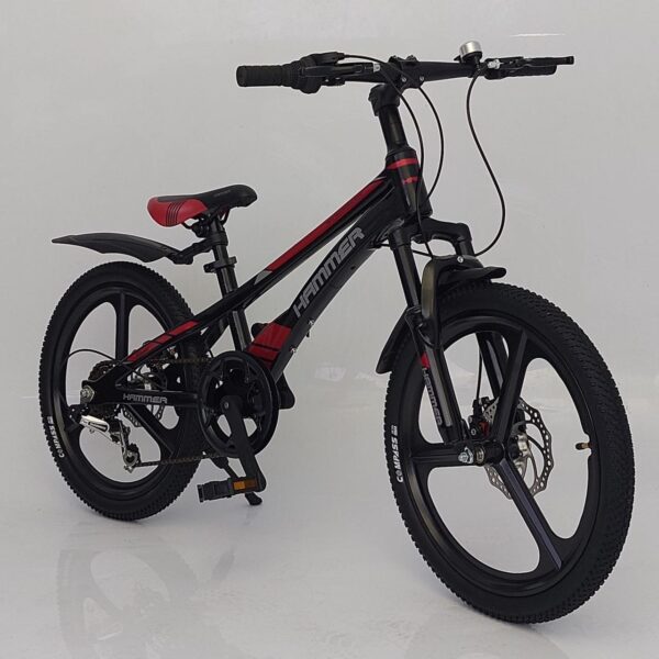 3212822530_gornyj-podrostkovyj-magnievyj.jpg.pagespeed.ce.fOfr8ekLUK[1]