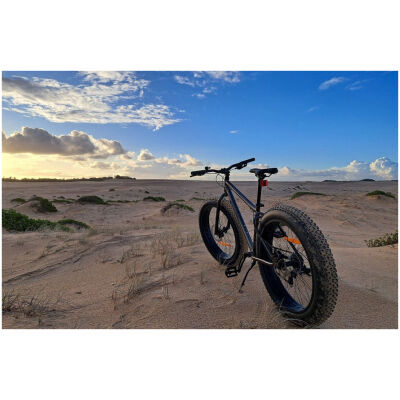 Велосипед Reid 26" Alpha Fat Bike Army