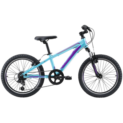 фото - Велосипед Reid 20″ Scout  2024