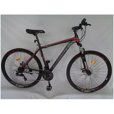 фото - Велосипед Azimut 29 40D GFRD