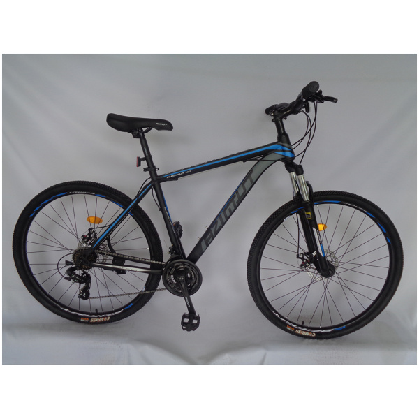 29''40D GD черн-син