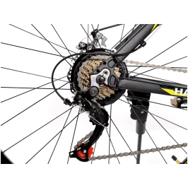 3232758840_w640_h640_3232758840[1]