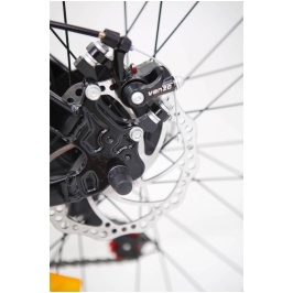 3726987508_w640_h640_3726987508[1]