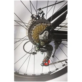 u_files_store_37_201[1]