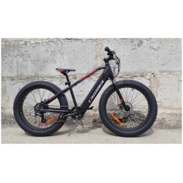 3337005918_w640_h640_3337005918[1]