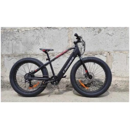 3337005918_w640_h640_3337005918[1]