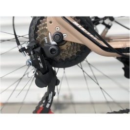 Bezhevyj-3.-scaled[1]