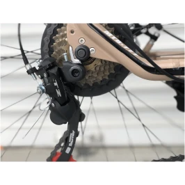 Bezhevyj-3.-scaled[1]