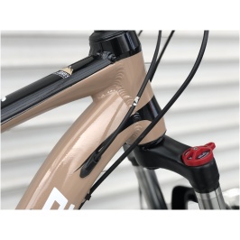 Bezhevyj-5.-scaled[1]