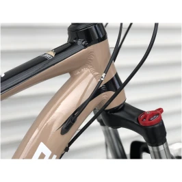 Bezhevyj-5.-scaled[1]